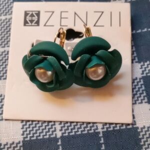 Earrings...never been worn